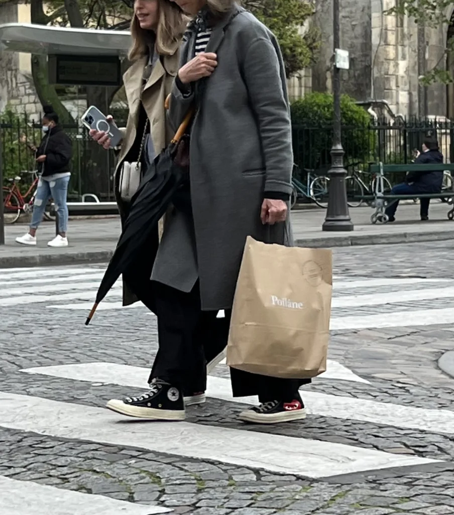 Beautiful Young Stylish Girl Bag Fashion Gray Coat Black Pants