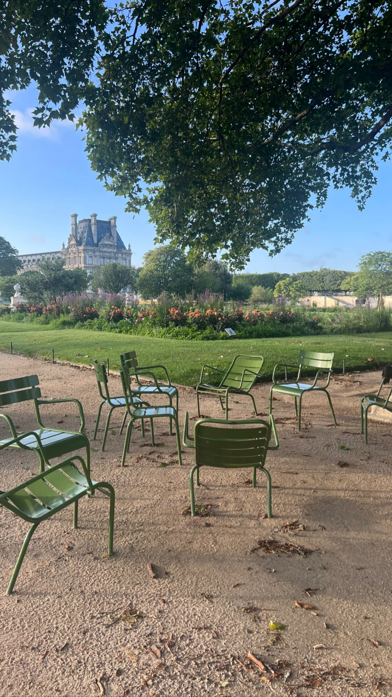 Introducing Your Essential Guide - D12F88D6 D171 4BAE 8EA5 083989627CC4.webp