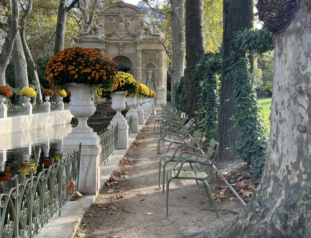 Luxembourg Gardens with green chairs in Paris in November.