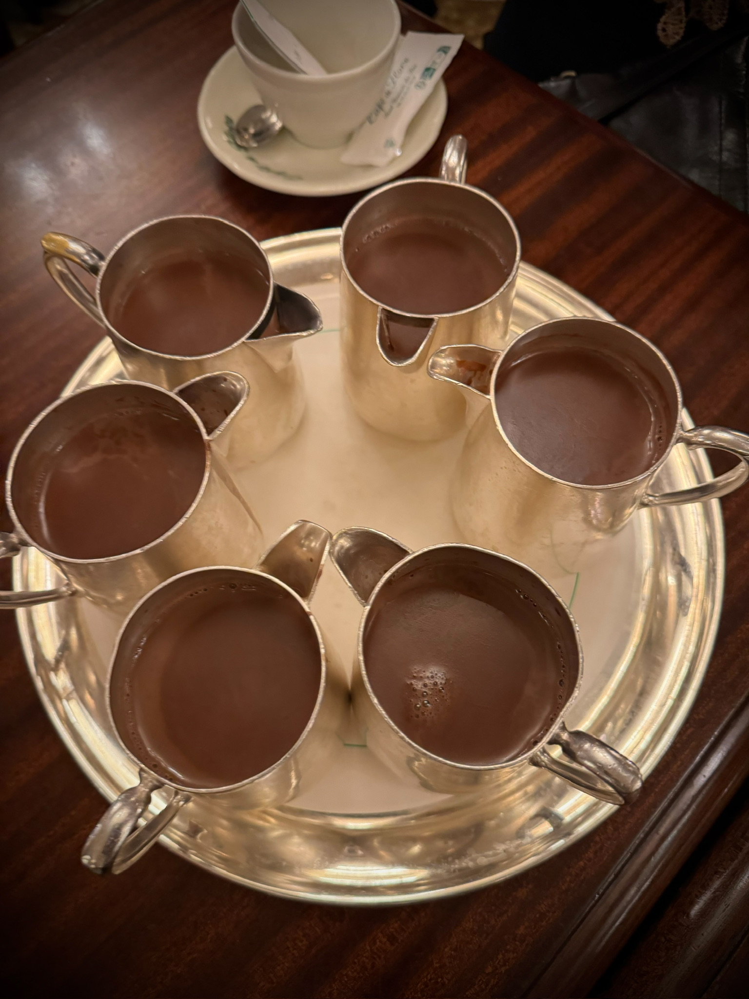 Hot chocolate on a tray in fall in Paris.