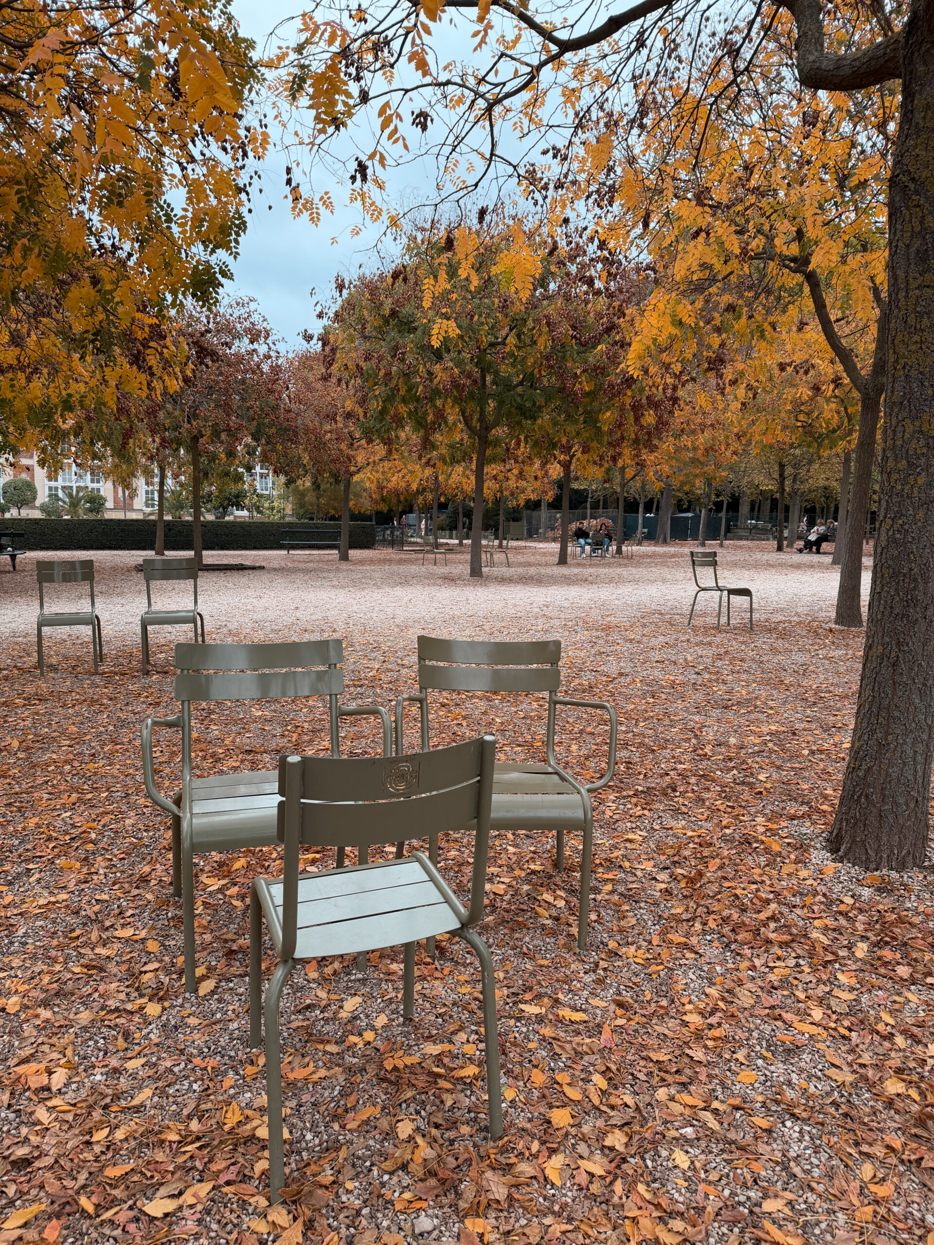 Fall foliage and green chairs in Luxembourg Gardens Paris
