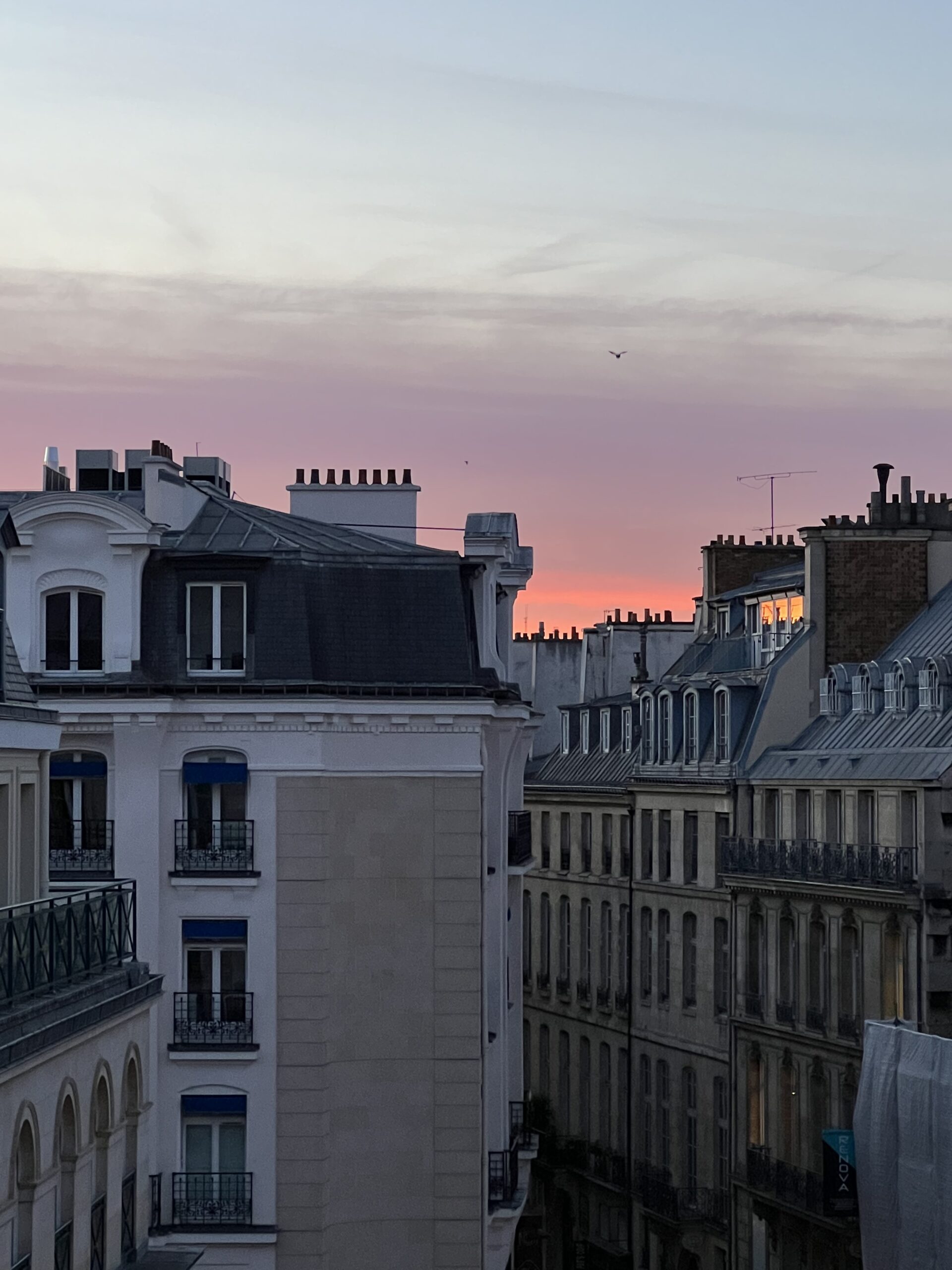 Parisian sunset with pink skies and apartments in the background.