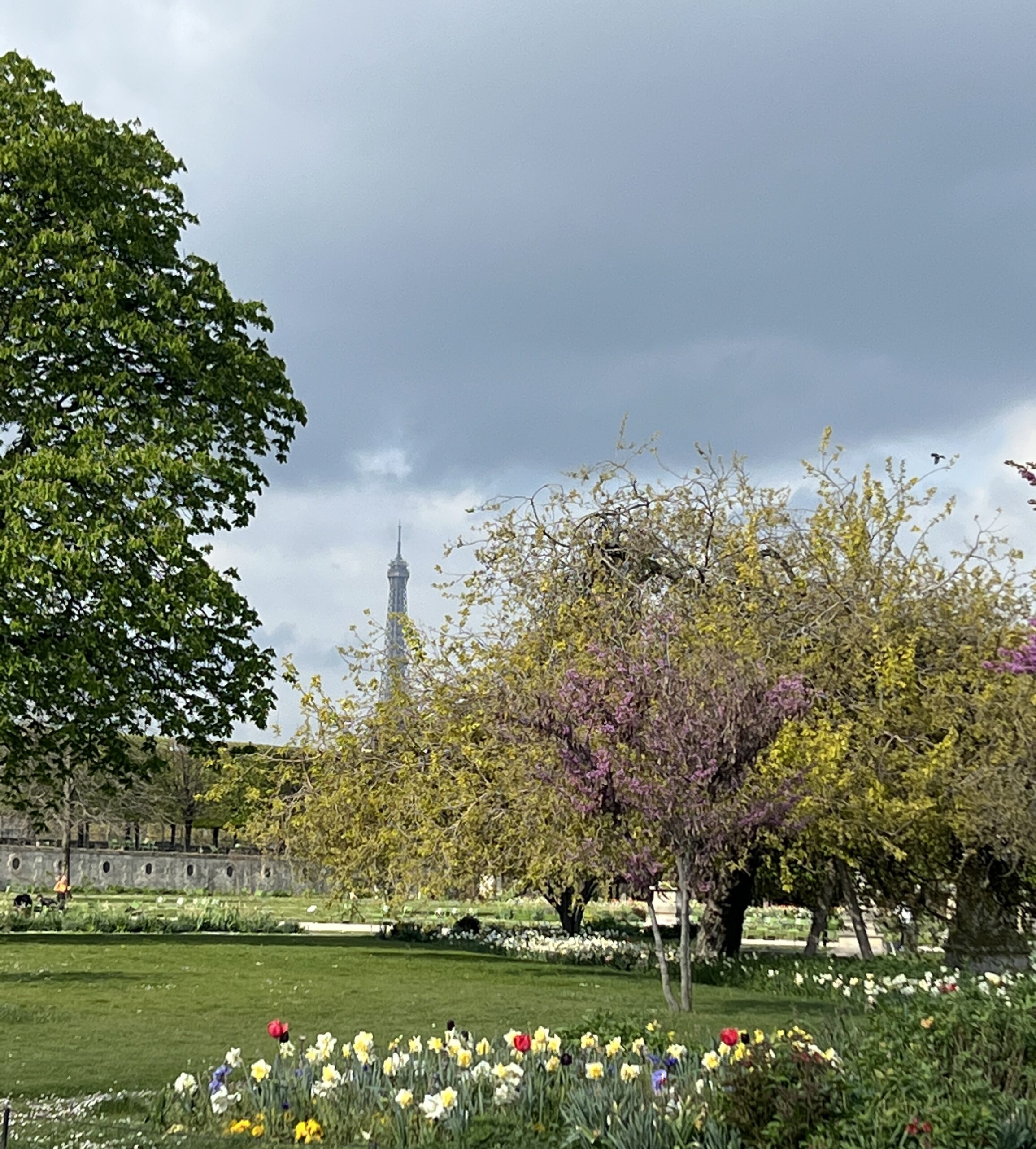 Eiffel tower in the background of a spring day in Paris amongst the trees.
