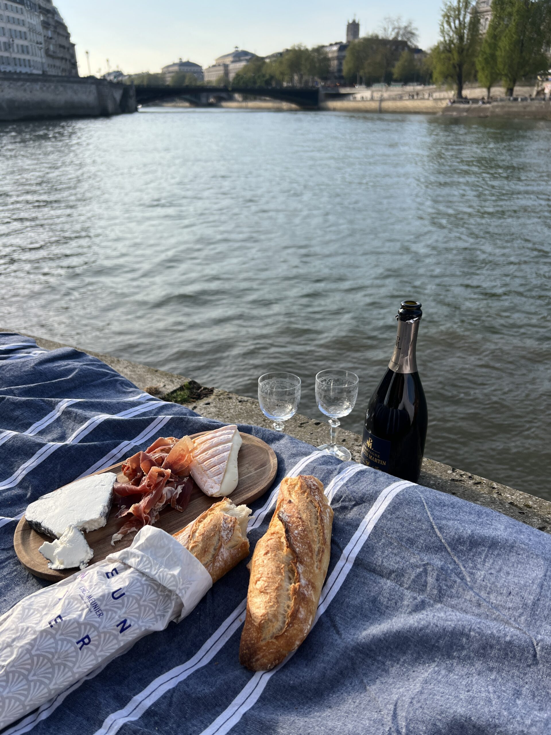 Spring picnic along the river Seine with a baguette cheese, grapes, and bottle of champagne.