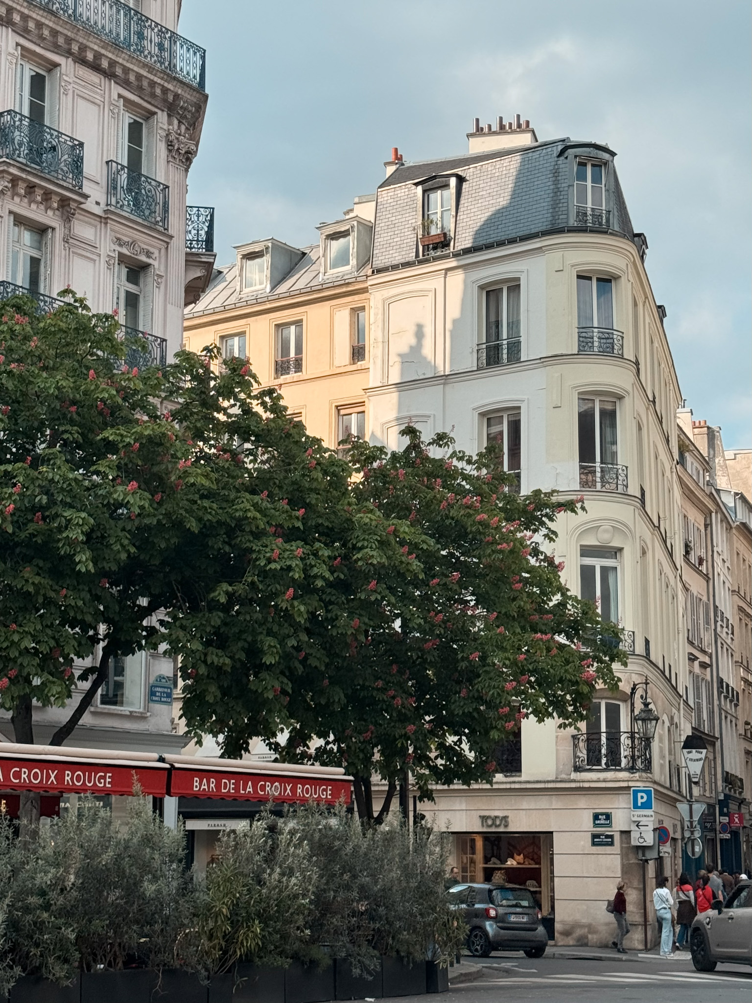 Paris in April with blooming trees and classic Haussmann buildings during spring season